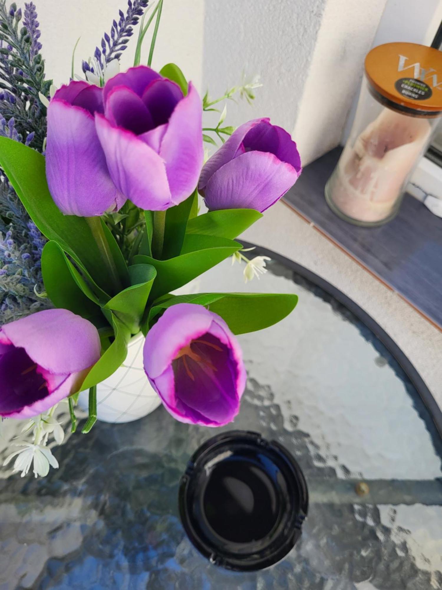 Purple Rooms โมสตาร์ ภายนอก รูปภาพ