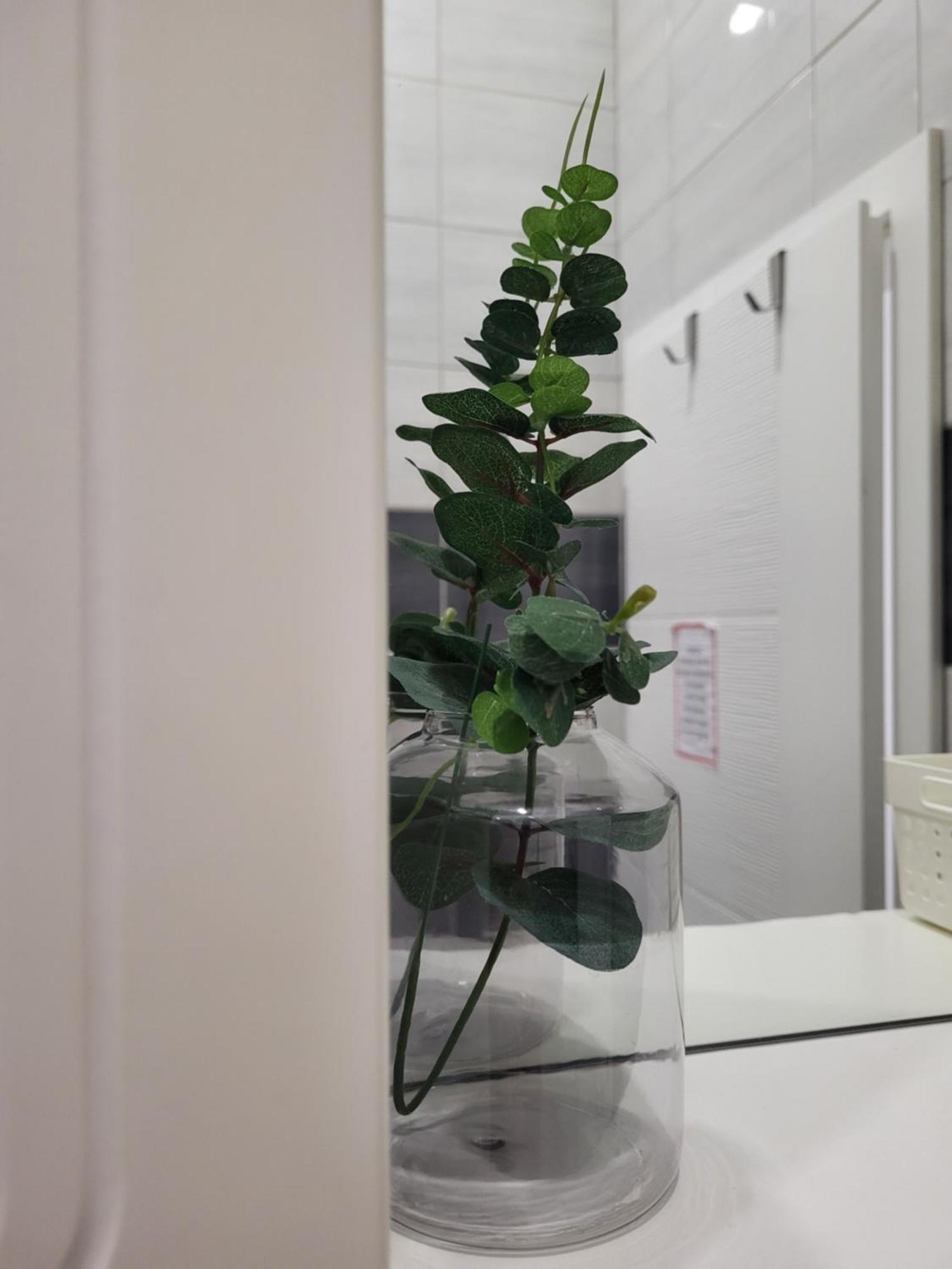 Purple Rooms โมสตาร์ ภายนอก รูปภาพ